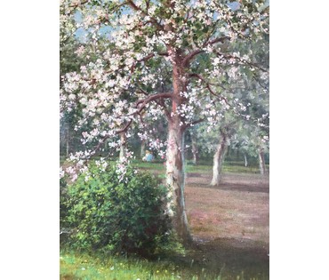 Картина "Цветущий сад". Рудчик И.Д. 1954 г. №516