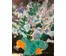 Кищенко А.М. “Гимн сирени”, 1989г. Холст, масло. Размер 136х110 см. № 621