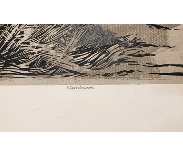 Герус С.П. “Сенаванне”,1962 г. №741