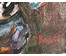 Акулов В.И. ”Полевые ромашки”, 2008 г. НЕТ В НАЛИЧИИ (артикул №788) - фото №2
