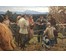 Деревянных «Ленин среди крестьян с.Шушенское», ХХ в. НЕТ В НАЛИЧИИ (артикул №1090) - фото №3