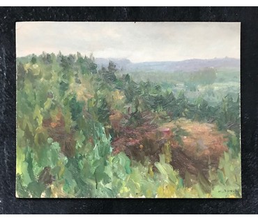 Дучиц Н.В. "Лесные дали", 1958 год (артикул №1433) - фото №2