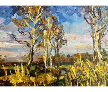 Романов С.Г. Пейзаж. Картон,масло. Размер 50х70 см. № 2059 (артикул №2059) - фото №4