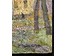 Хмелевский В.В Пейзаж, 1990г. ДВП, масло. Размер 49х61 см. № 2485 (артикул №2485) - фото №4