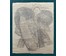 Ясюкайть А.А. Линогравюра. Размер 43,5х53,5 см. № 2653 (артикул №2653) - фото №4