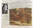Гомонов Л.В "Цішыня", 1991г. Холст, масло. Размер 40х60 см. № 2698 (артикул №2698) - фото №7