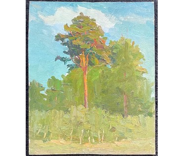 Кравцов В.П "Сосна", 1962г. Картон, масло. Размер 29х24 см. № 2745 (артикул №2745) - фото №2