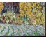 Ландарский Р.Е "Осень на Соже", 1998г. Холст на ДВП, масло. Размер 52х63 см. № 2760 (артикул №2760) - фото №3