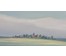 Батальонок Е.Е "Пачатак лета", 2021г. Холст, масло. Размер 50х60 см. № 2777 (артикул №2777) - фото №8