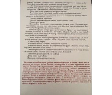 Икона "Спас Нерукотворный" с предстоящими. Ветка, начало 20ого века № 17