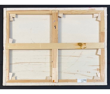 Ляпин А.В "Ловец солнца", холст, масло. Размер 60х80 см. № 3049 (артикул №3049) - фото №6