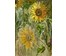 Денисов Г.И. Картина "Подсолнухи". Акварель. 29х48см. Наличие и стоимость уточняйте! (артикул №3145) - фото №2