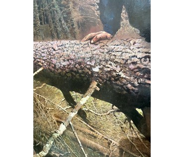 Казаков Б.И "Долина ветров. Иван", 2004г. ДВП. масло. Размер 80х80 см. № 3270 (артикул №3270) - фото №7