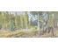 Бржозовский Г.Ф "Маёнак Дзяржынава пасля пажару 1941г.",1949г. Холст на картоне, масло. Размер 39х77 см. № 3442 (артикул №3442) - фото №2