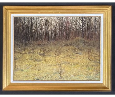 Шкарубо В.Ф "Сумерки", 1995г. Картон, масло. Размер 30х40 см. с рамой 52х42 см. № 3447 (артикул №3447) - фото №3