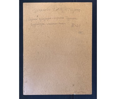 Тихонович Г.Е "Охрана природы-охрана Родины", 1973г. Картон, масло. Размер с рамой 96,5х76,5 см. № 3715 (артикул №3715) - фото №5