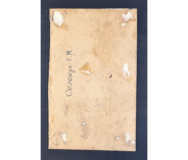 Селещук Н.М. Этюд. Картон, масло. Размер с рамой 36,5х50 см. № 3776 (артикул №3776) - фото №3