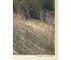 Скрипниченко Г.С "Минск, р-н ул. Захарова и Хладокомбината", 1962 г. Картон, масло. Размер с рамой 63х53 см. № 4075 (артикул №4075) - фото №4