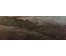 Картина "Деревушка на берегу озера". Rueff A ; 19 век. Австрия. 1874г. (артикул №240) - фото №3